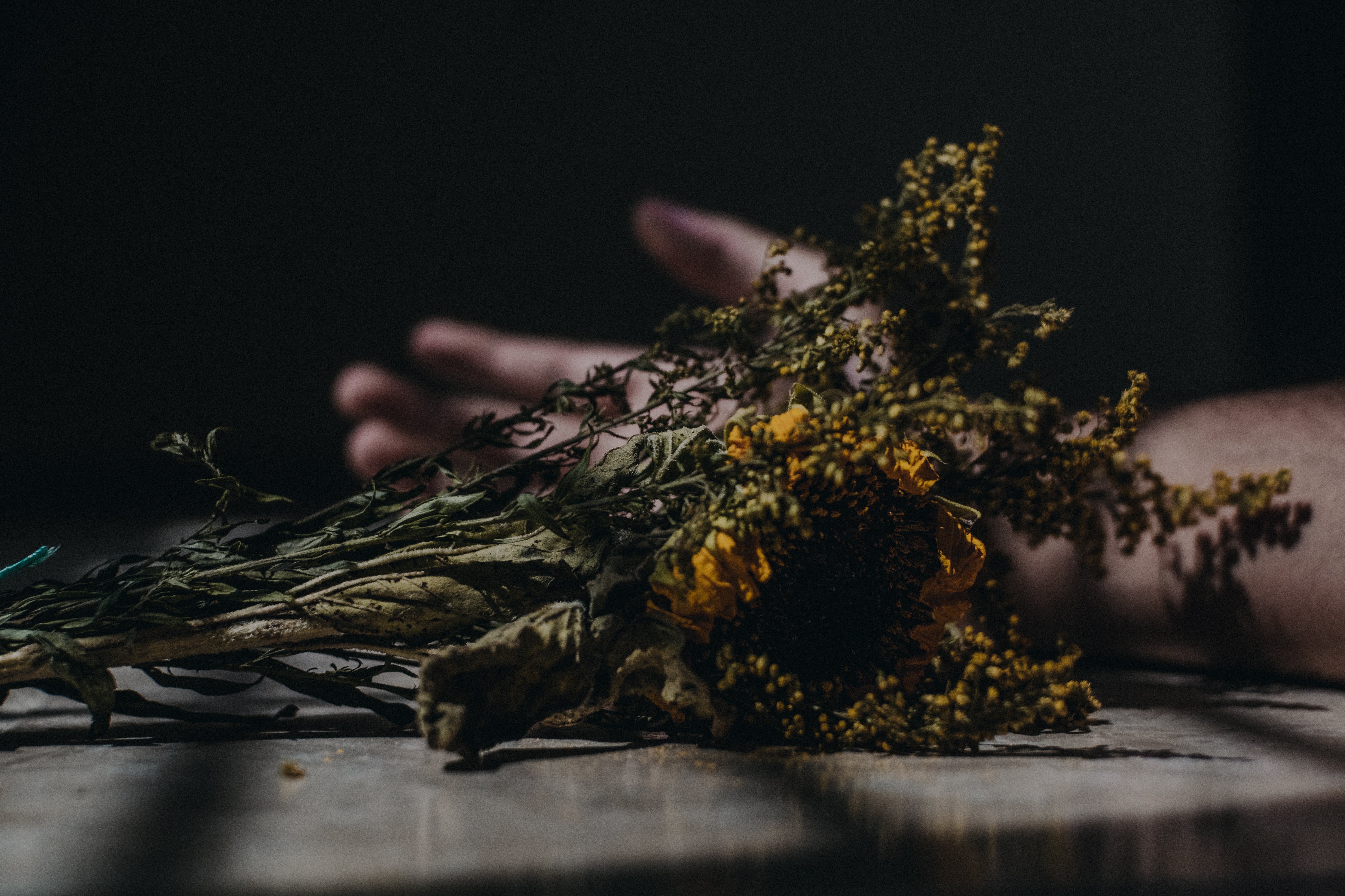 Visual representation depicting thantophobia the fear of losing someone you love; dried flowers symbolizing the fear of death and loss.