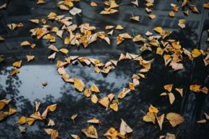 Sarah Hylands Journey Of Love And Relationships Unveiled The Defining Moments - 8zx733z