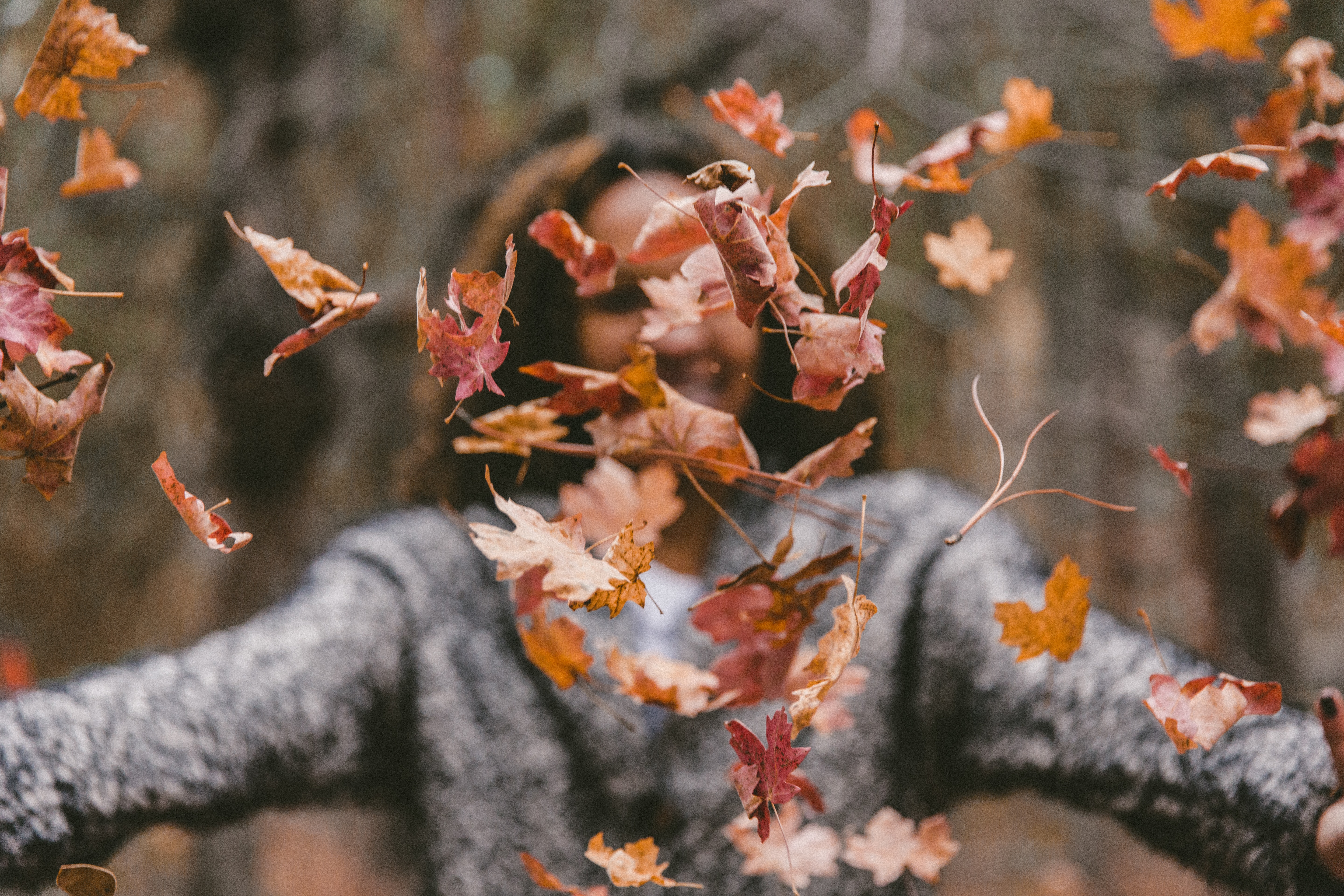 The fall aesthetic, encompassing the visual, sensory, and emotional elements of autumn, has a profound impact on our well-being-